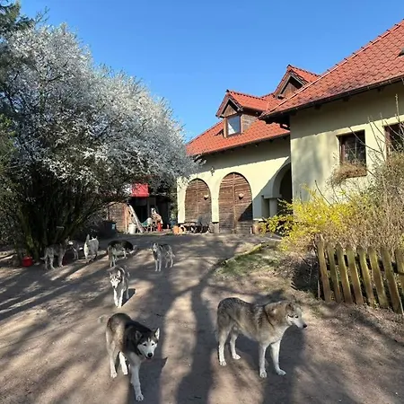 Traperska Osada Farm stay Potasze