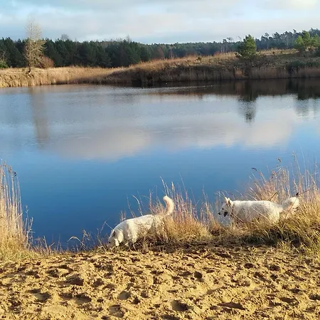 Traperska Osada * Potasze