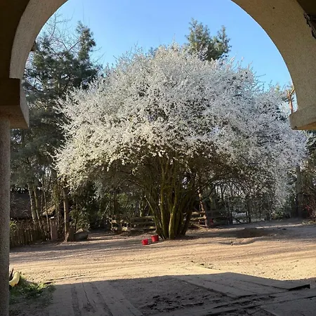 Traperska Osada Farm stay *