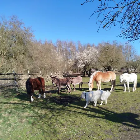Traperska Osada Farm stay Potasze