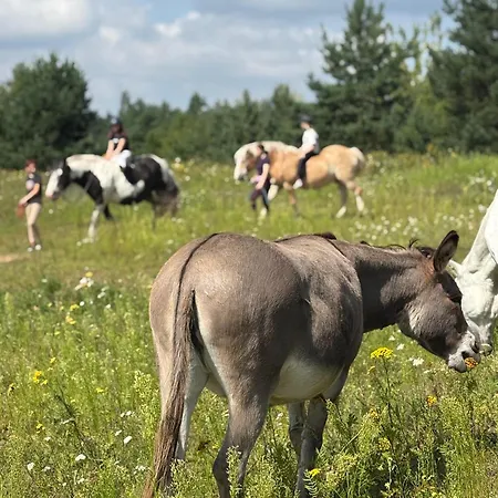 Traperska Osada Farm stay *