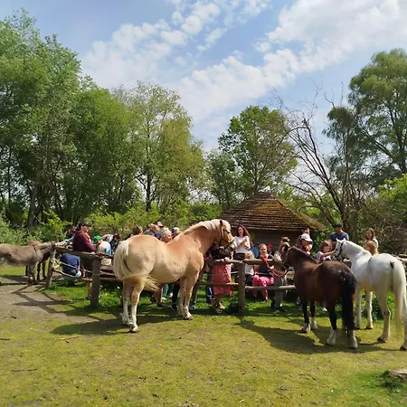 Farm stay Traperska Osada *