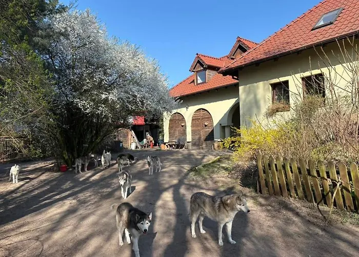 Traperska Osada Farm stay Potasze