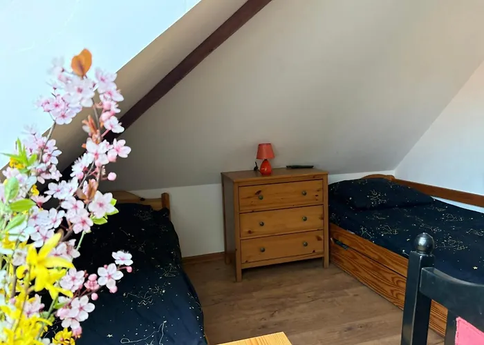 Farm stay Traperska Osada *