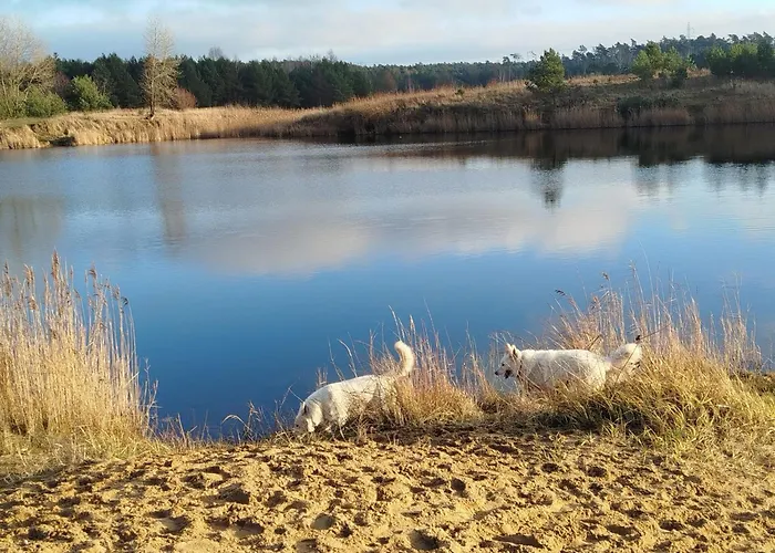 Traperska Osada * Potasze