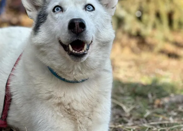 Traperska Osada Farm stay *