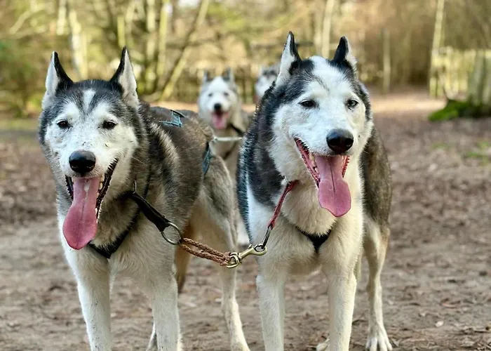 Traperska Osada Farm stay *