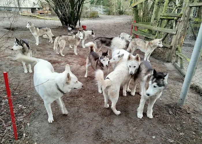 Farm stay Traperska Osada