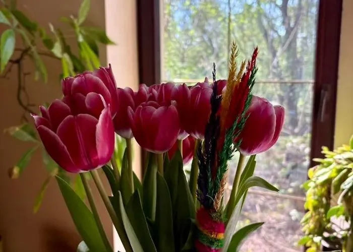 Traperska Osada Potasze