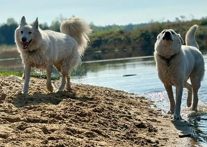 Farm stay Traperska Osada