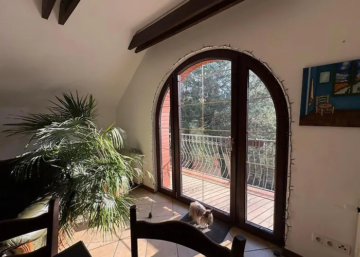 Traperska Osada Potasze