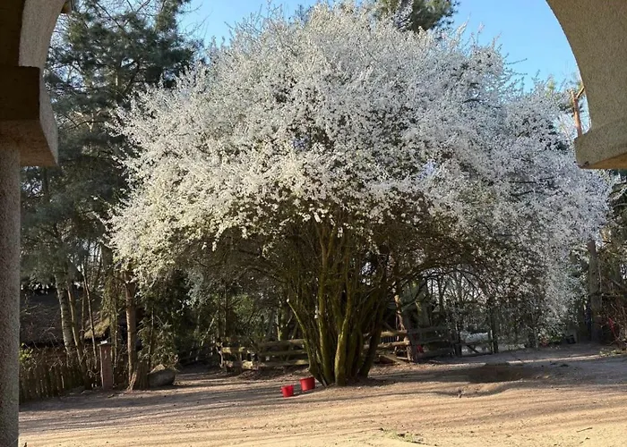 Farm stay Traperska Osada