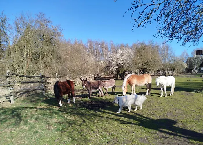 Traperska Osada Farm stay Potasze