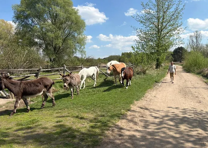 Traperska Osada Potasze