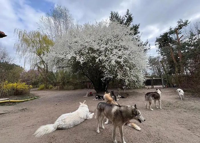 Traperska Osada * Potasze