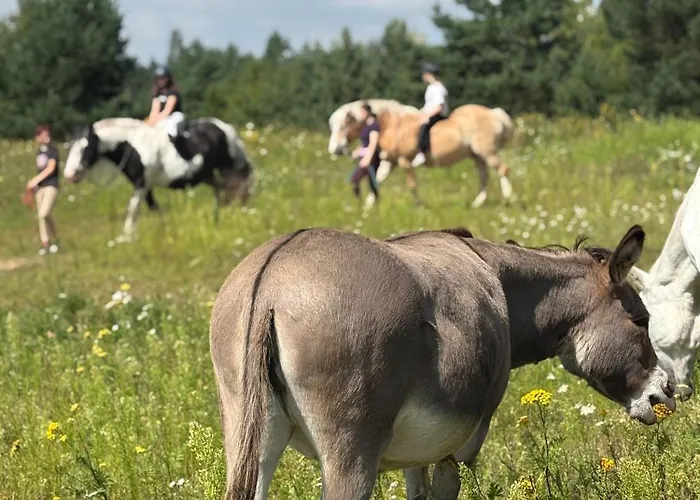 Traperska Osada Farm stay *