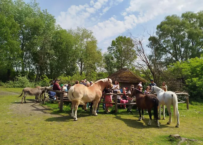Farm stay Traperska Osada *