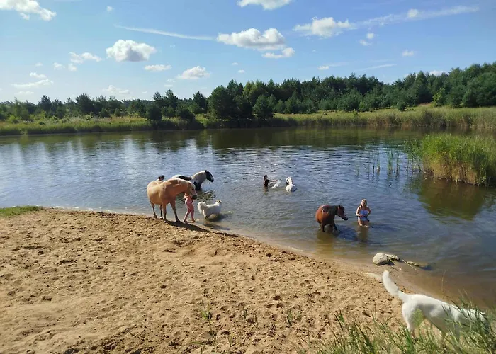 Traperska Osada * Potasze